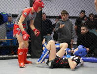 В Новомосковске прошел Чемпионат и Первенство Тульской области по ММА, Фото: 135