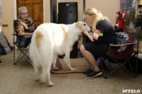 В Туле прошла Всероссийская выставка собак всех пород, Фото: 22