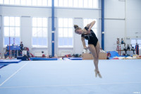 Всероссийские соревнования по спортивной гимнастике, Фото: 36