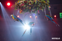 Цирковое шоу Жар птица, Фото: 68