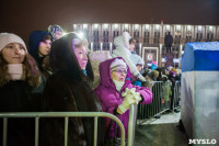 Туляки отметили Старый Новый год ледовым шоу, Фото: 35