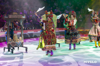 Цирковое шоу Жар птица, Фото: 85