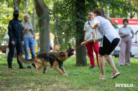 «Школодром-2025», Фото: 59