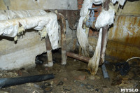 В Щекино жители десять лет борются за горячую воду, отопление и ремонт дома, Фото: 13