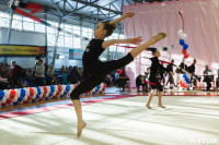 Всероссийские соревнования по художественной гимнастике на призы Посевиной, Фото: 146