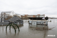 Упа в Туле затопила детскую площадку и кафе на Пролетарской набережной, Фото: 5