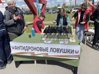В Туле прошел Первый региональный форум молодежных и волонтерских организаций «Своих не бросаем», Фото: 3