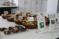 Андрей Дубровский посетил «Богородицкий альянс», Фото: 21