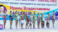 Тула провела крупный турнир по художественной гимнастике, Фото: 207