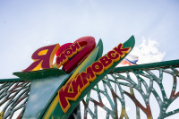 Кимовск-Донской-Новомосковск-Узловая, Фото: 10