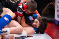 В «Тула-Арене» состоялись областные соревнования по ММА, Фото: 130