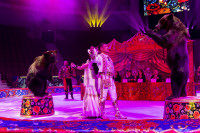 Цирковое шоу 5 континентов , Фото: 68