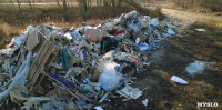 Столичный мусор в Тульской области, Фото: 5