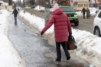 Улицы Тулы сковало льдом: фоторепортаж	, Фото: 42