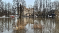 Затопленный Баташевский сад, Фото: 12