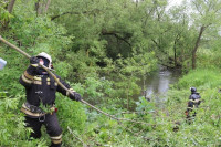 МЧС расчищает русло реки в с.Дедилово, Фото: 7