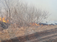 В Федоровке огонь с горящего поля едва не перекинулся на дома, Фото: 3