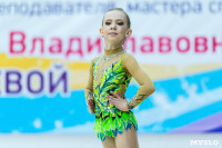 Тула провела крупный турнир по художественной гимнастике, Фото: 115