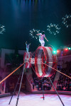 "Чудеса под Новый год" в Тульском цирке, Фото: 5