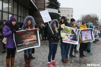 Более 8000 туляков требуют запретить убийство бездомных животных, Фото: 4