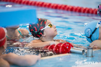 Анастасия Бахтырева провела мастер-класс для тульских синхронисток, Фото: 3