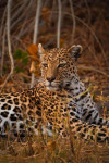 , Фото: 2