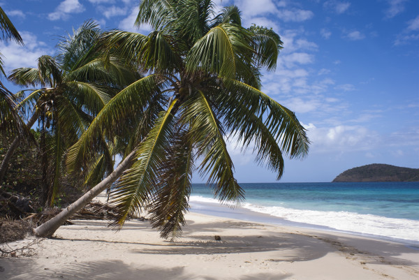 Дикий пляж Карибского моря.
