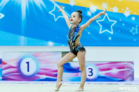 Тула провела крупный турнир по художественной гимнастике, Фото: 71