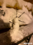 Посмотрите, каких снеговиков лепят туляки!, Фото: 6