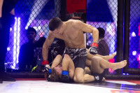 Битва за Тулу-2026, Фото: 129