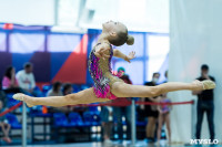 Тула провела крупный турнир по художественной гимнастике, Фото: 94