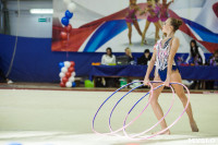 Всероссийские соревнования по художественной гимнастике на призы Посевиной, Фото: 48