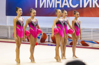 В Туле стартовало первенство Центрального федерального округа по художественной гимнастике, Фото: 88
