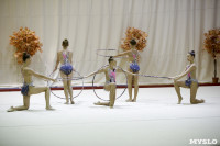 Соревнования по художественной гимнастике "Осенний вальс", Фото: 113
