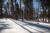 Состязания лыжников в Сочи., Фото: 47