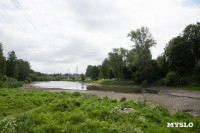 Почему обмелел пруд в Рогожинском парке Тулы?, Фото: 5