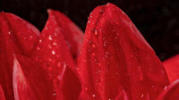 , Фото: 5