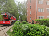 В Туле на ул. Мезенцева в подвале пятиэтажки начался пожар, Фото: 7