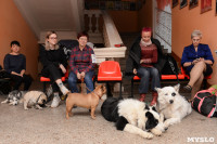Выставки собак в ДК "Косогорец", Фото: 43