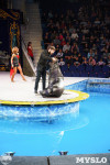Цирк на воде «Остров сокровищ» в Туле: Здесь невозможное становится возможным, Фото: 88