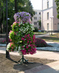 Улицы Тулы украсят необычные цветочные композиции, Фото: 3