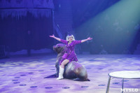 «Чудеса Новогодней Ёлки» ждут вас в Тульском цирке, Фото: 96