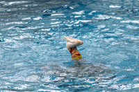 первенство цфо по синхронному плаванию, Фото: 157