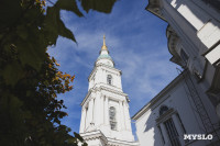 Всехсвятское кладбище, Фото: 51