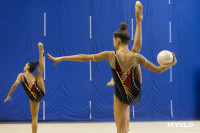 В Туле стартовало первенство Центрального федерального округа по художественной гимнастике, Фото: 25