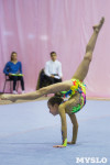 Соревнования по художественной гимнастике 31 марта-1 апреля 2016 года, Фото: 39
