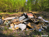 Туляки: Щегловская засека превращается в свалку мусора, Фото: 10