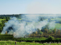 Тульский парк «Патриот» заволокло дымом, Фото: 4