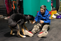 Хвостатые волонтеры: как собаки ищут пропавших живых и мертвых, Фото: 18