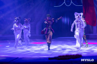 Цирковое шоу Жар птица, Фото: 30